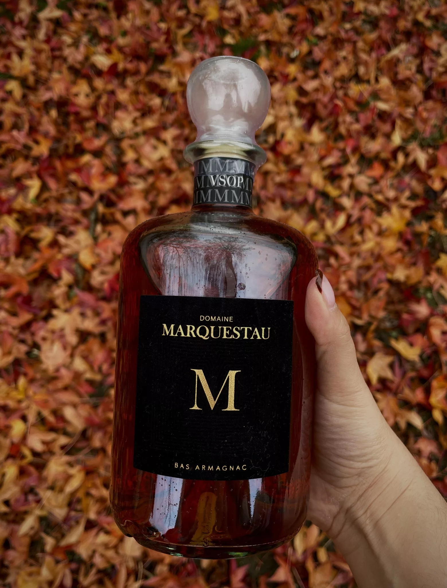 Bouteille d'Armagnac VSOP du Domaine de Marquestau