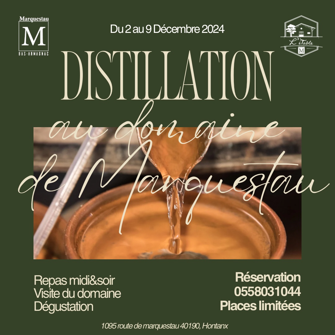 marquestau-etable-distillation-2024