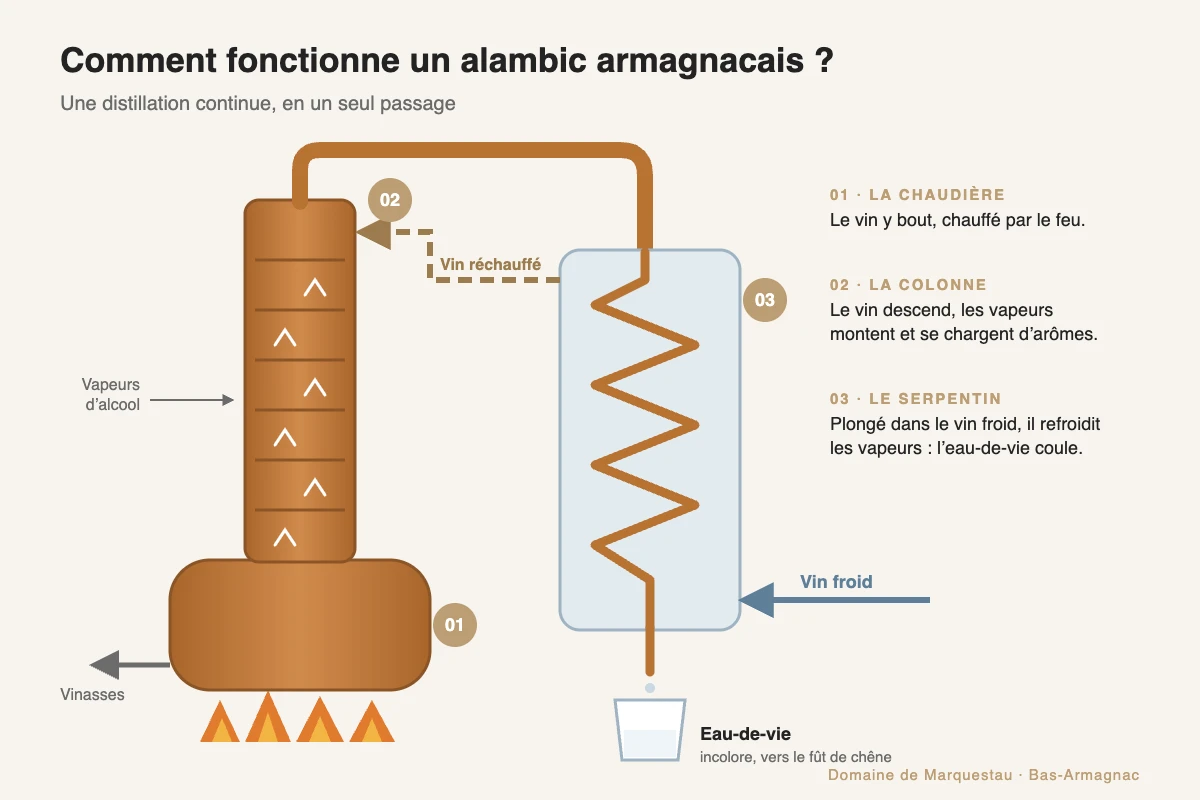Schéma d’un alambic armagnacais : chaudière, colonne et serpentin, distillation continue du vin en eau-de-vie
